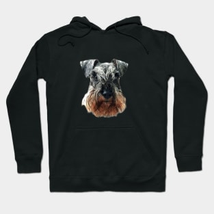 Mini Schnauzer Cute Salt and Pepper Face Hoodie